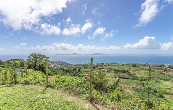 L'Ilot Fruits Guadeloupe Villa Trois-Rivieres Bagian luar foto
